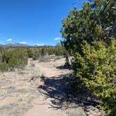 Review photo of Juniper Family Campground — Bandelier National Monument by Kim G., May 23, 2024