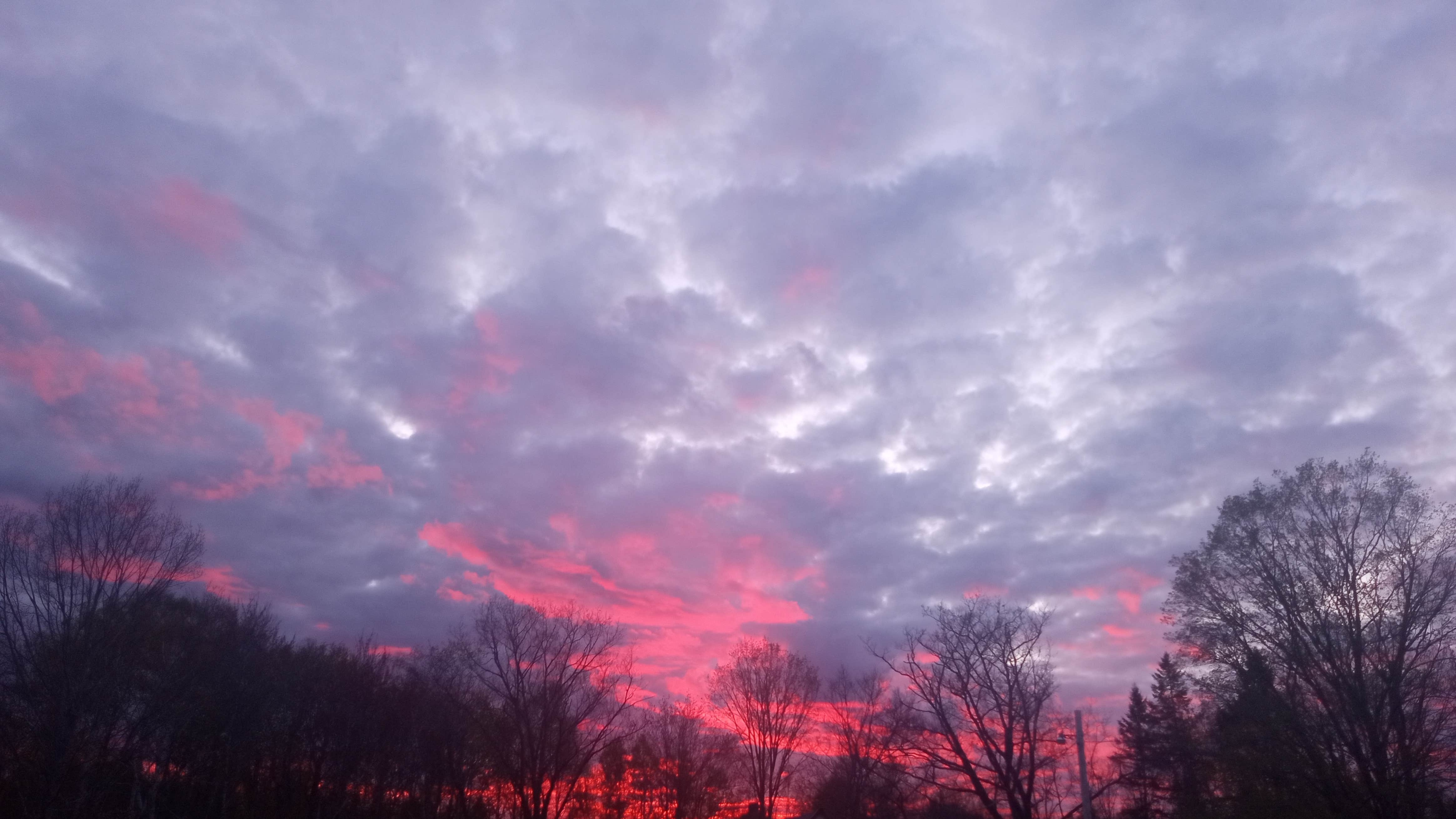 Camper-submitted photo at Our Vision Farm near Lambert Lake, ME