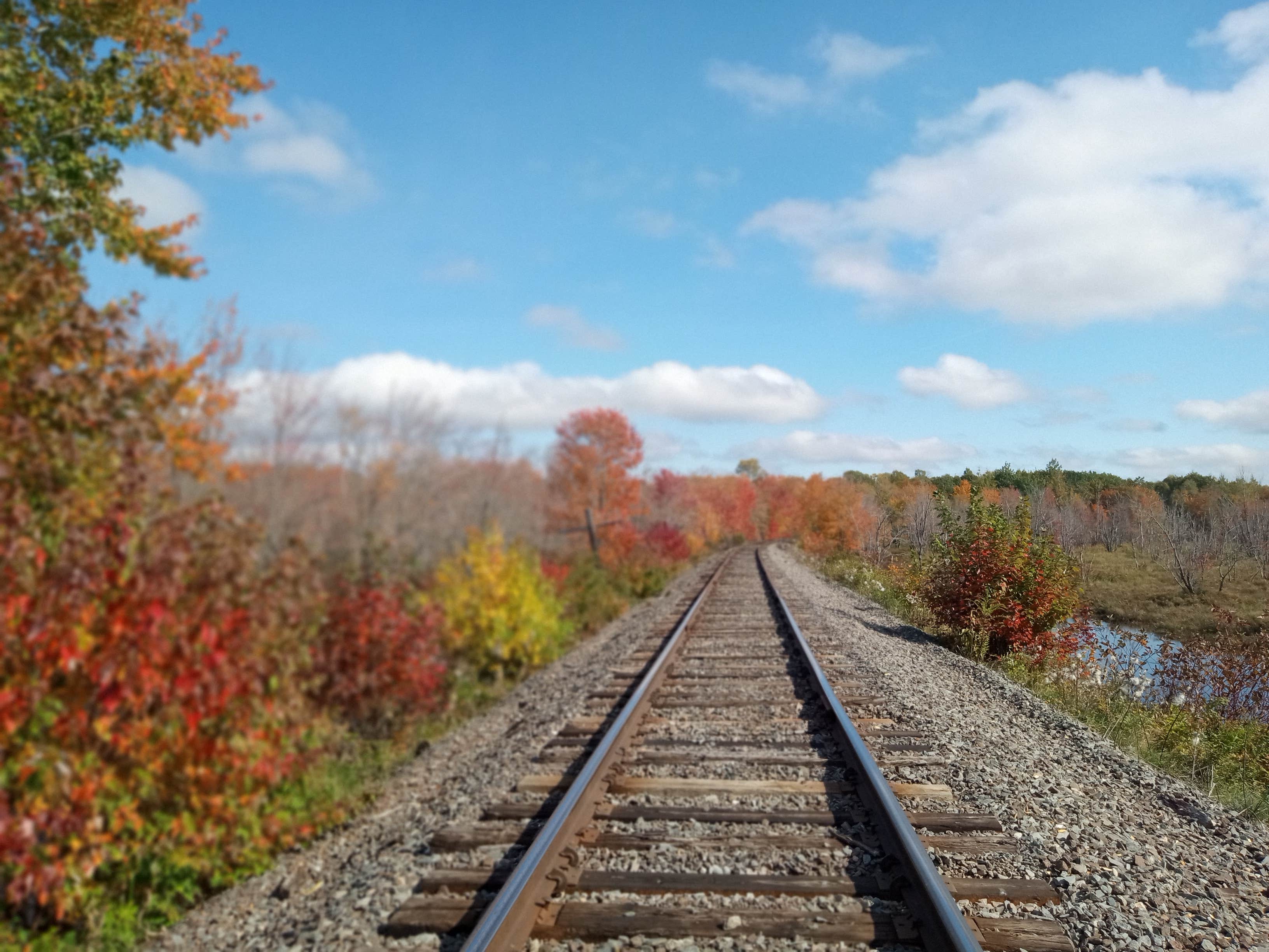 Camper-submitted photo at Our Vision Farm near Lambert Lake, ME