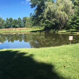 Small fishing(catch and release) pond