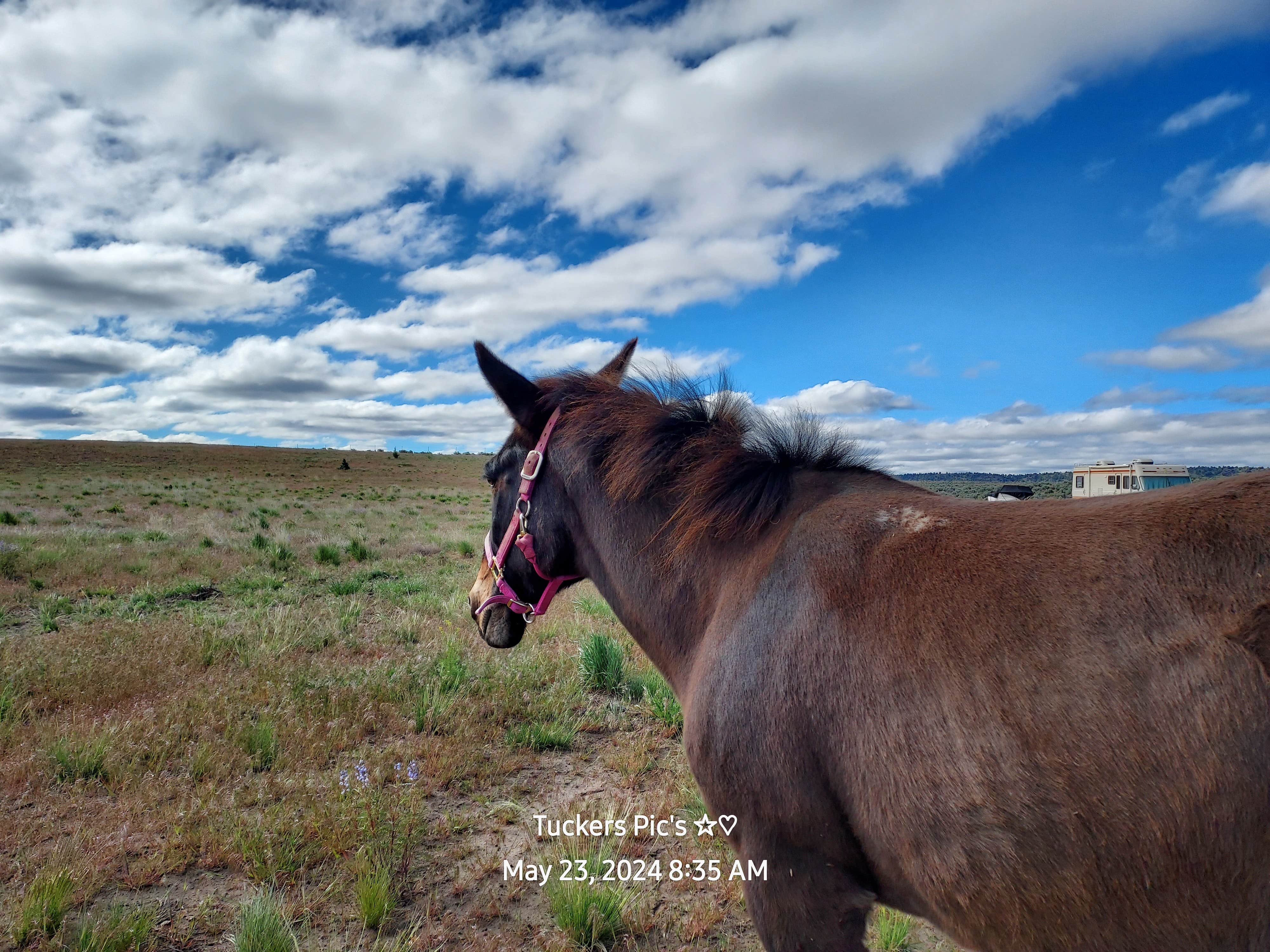 Camper-submitted photo at Captain Tuckers Quarters - Private Campground near Burns, OR