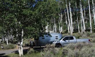 Camping near Koosharem Reservoir: Doctor Creek, Fremont, Utah