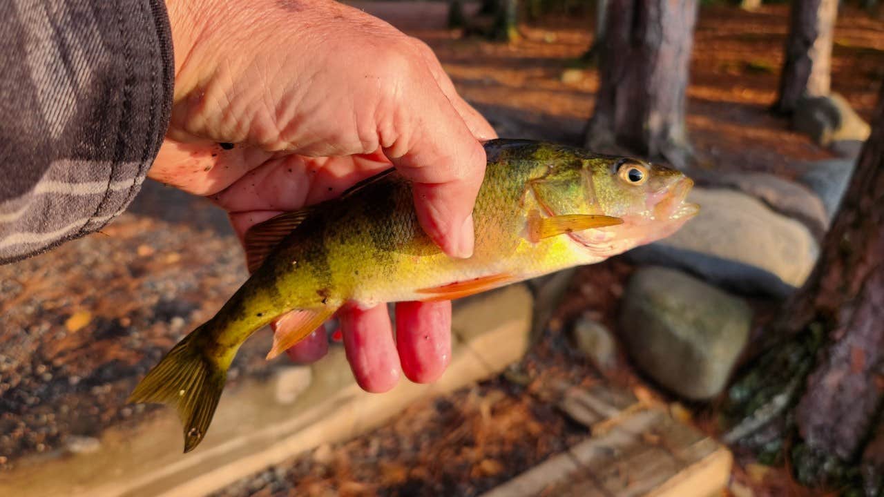 Camper submitted image from Eighteen Rustic Lake Campground - 4