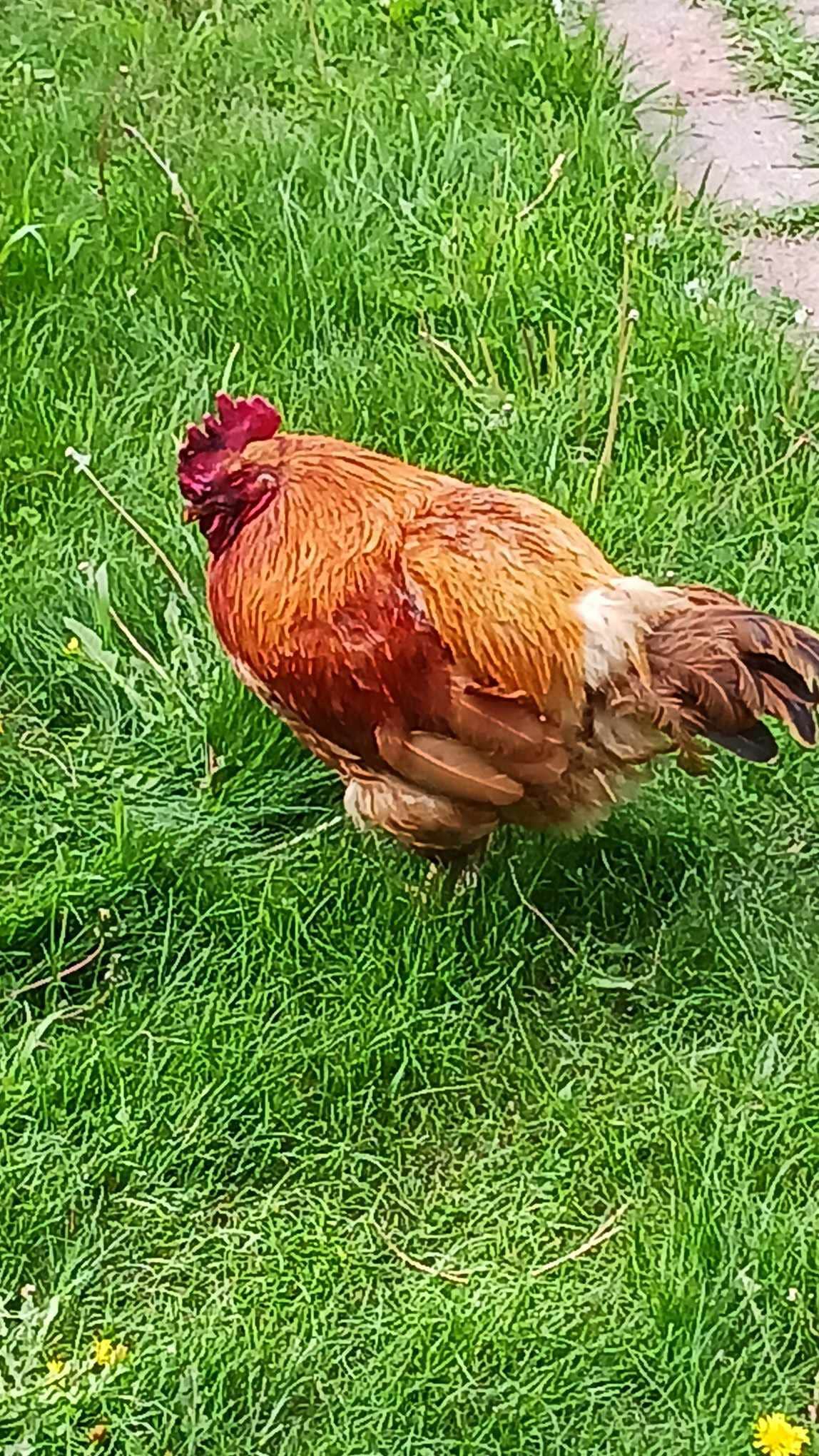 Camper-submitted photo at Camp Squatch near Plains, MT