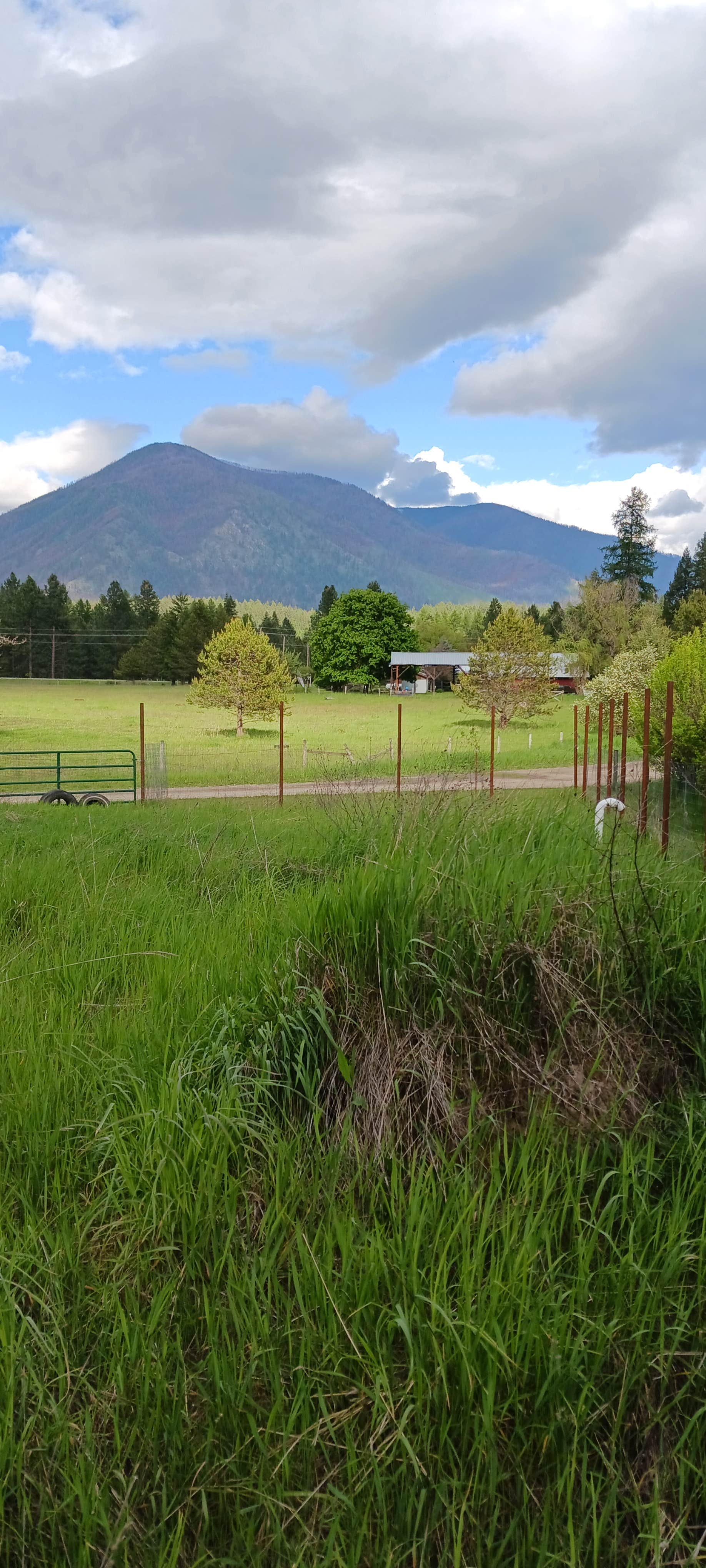 Camper-submitted photo at Camp Squatch near Plains, MT