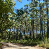 Review photo of Double L Farms Campground by Stuart K., May 25, 2024