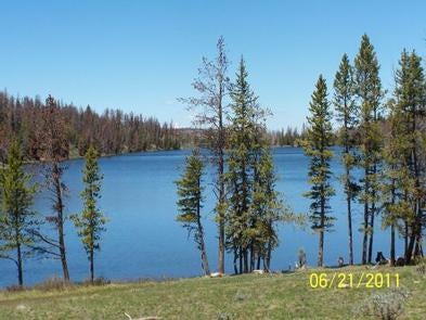 Camper submitted image from Marsh Lake Campground - 4