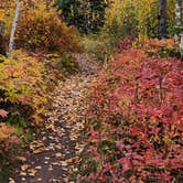 Review photo of Gooseberry Falls State Park Campground by Fred S., May 25, 2024