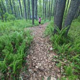 Review photo of Ashuelot River Campground by Rae-Ann W., May 25, 2024