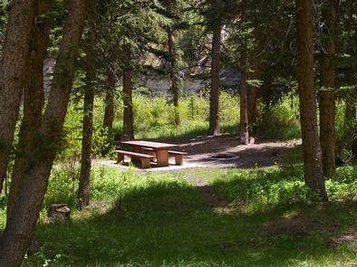 Forks  of  Huntington Campground



Forks of Huntington Campground

Credit: USFS