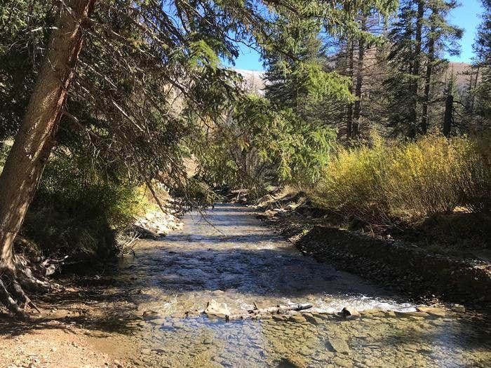 Camper submitted image from Forks Of Huntington - 5