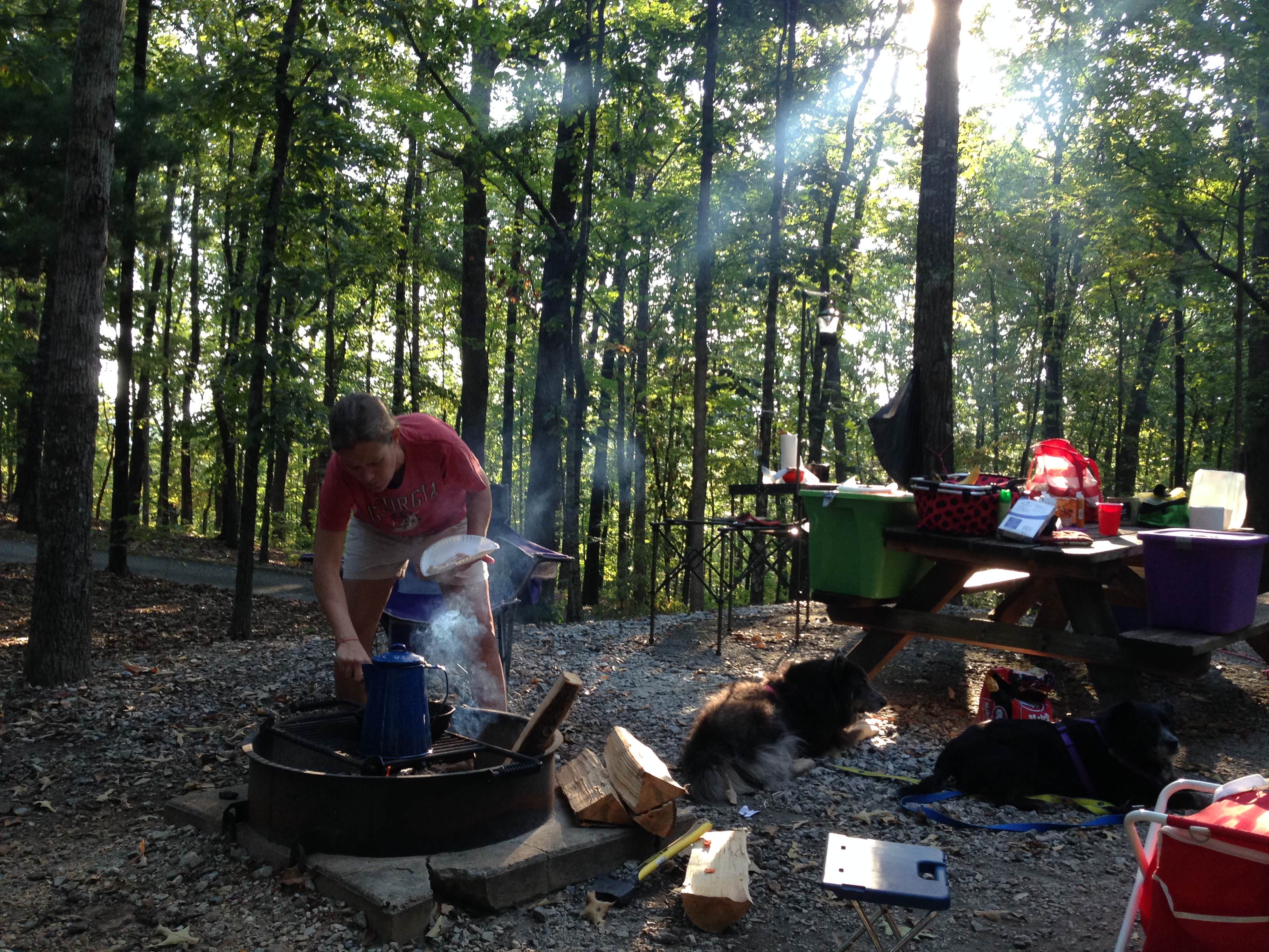 Camper submitted image from Keowee-Toxaway State Park - 4