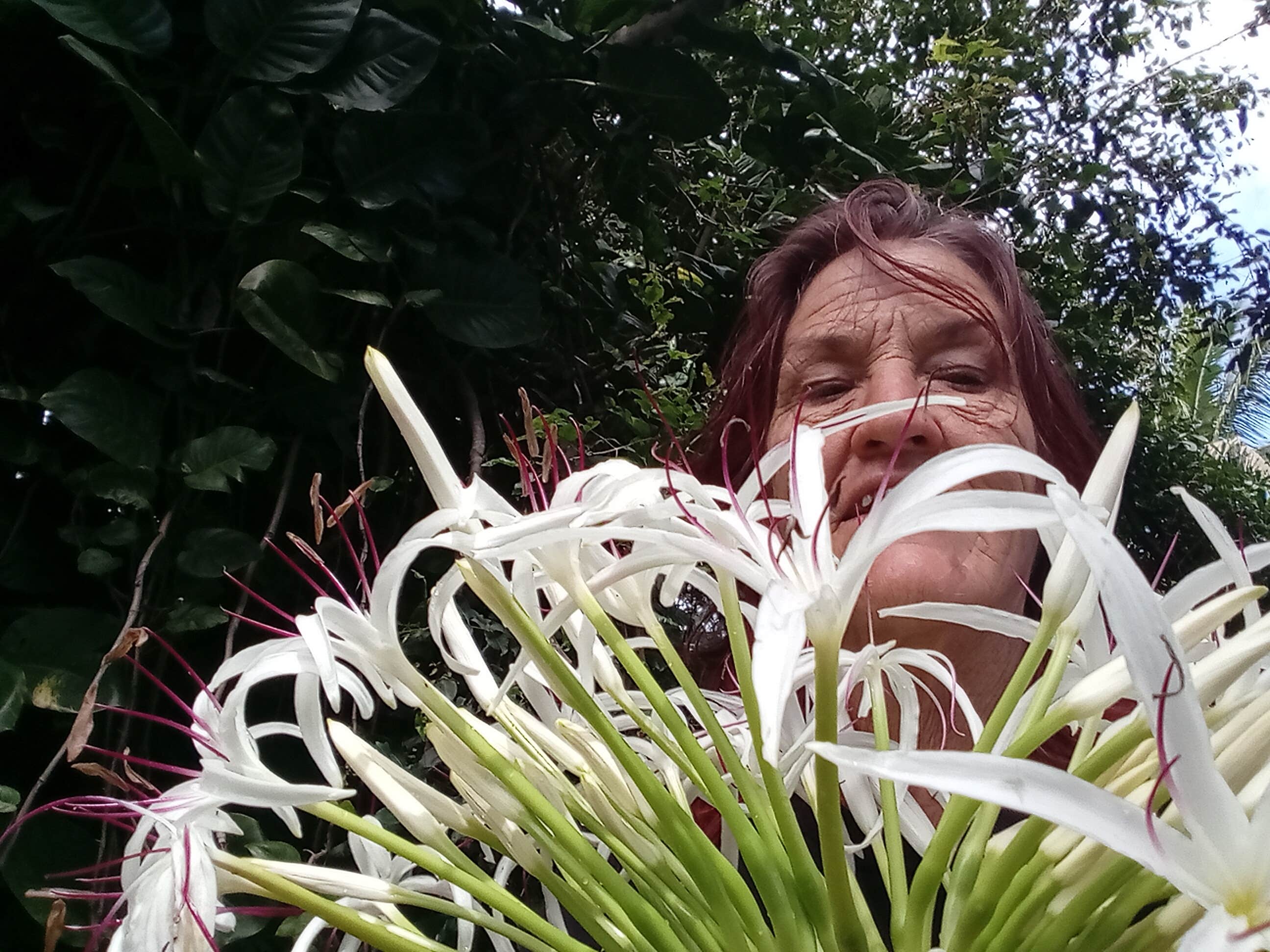 Camping near Isaac Hale Beach Park - PERMANENTLY CLOSED: Patsy's Permacure Garden Camp, Hawaiian Paradise Park, Hawaii