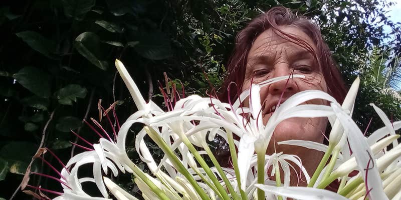 Camper submitted image from Patsy's Permacure Garden Camp