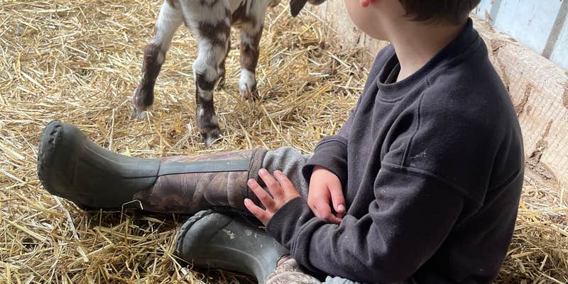 Camper submitted image from Spillway Farms
