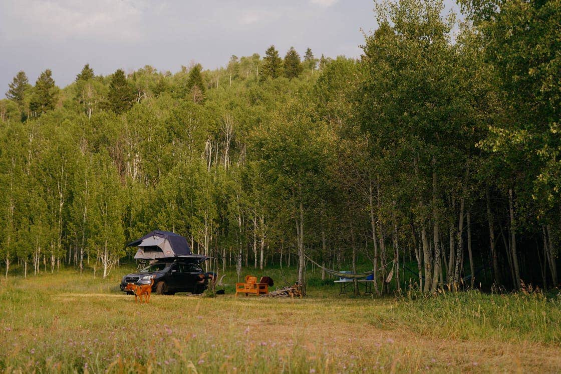 Peter Z.'s photo at Aspen Hills Campground near Rigby, ID