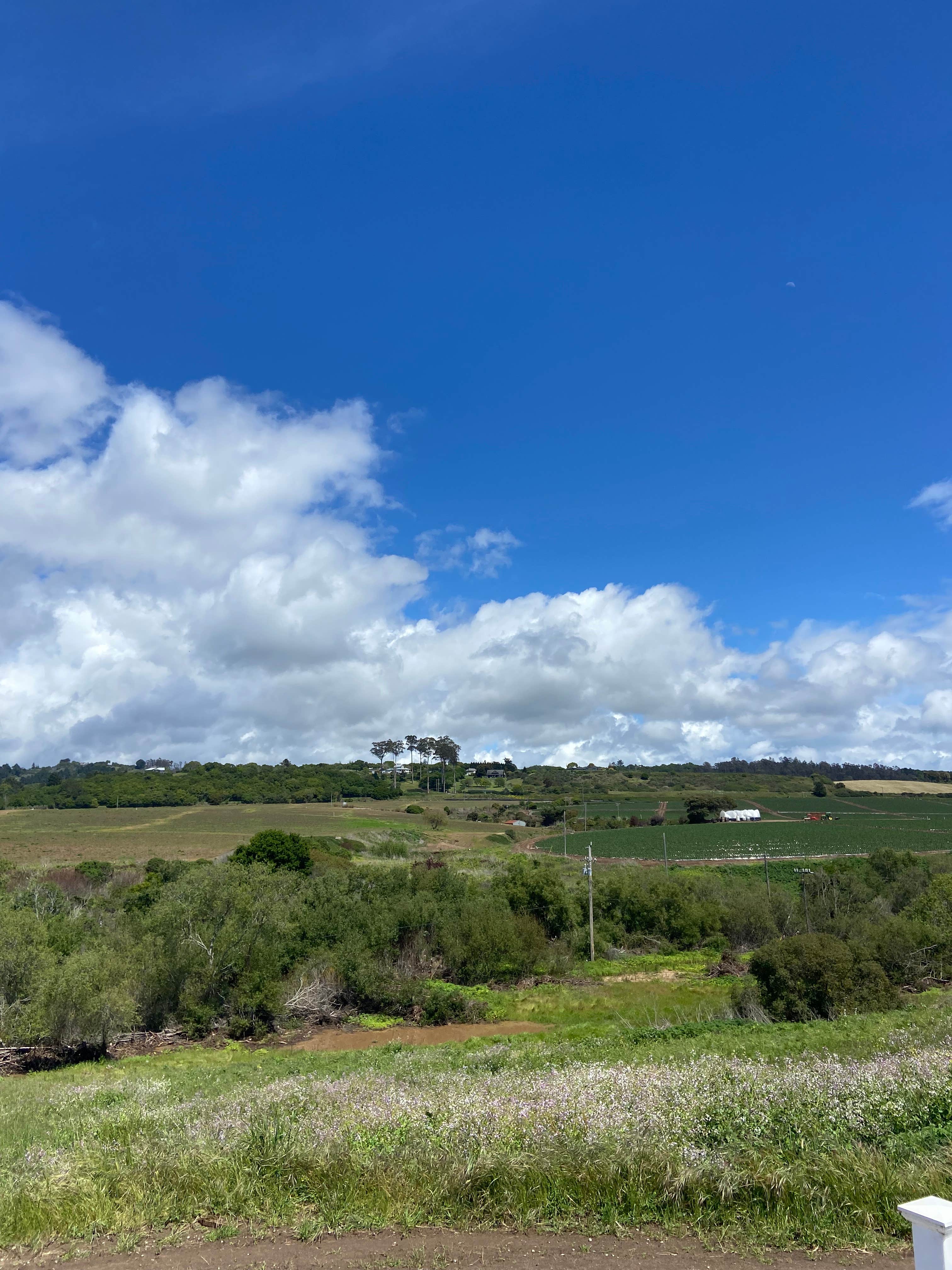 Camping near Sunset State Beach: Closed, Freedom, California