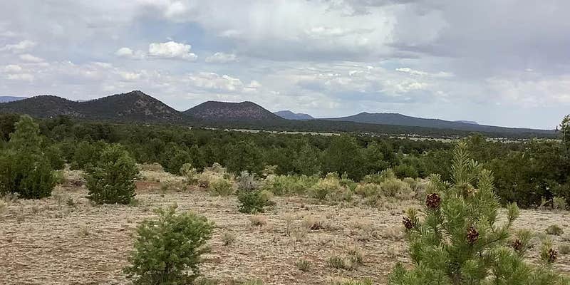 Camper submitted image from El Malpais National Monument, El Morro, Chain of Craters, Big Tubes Area Site