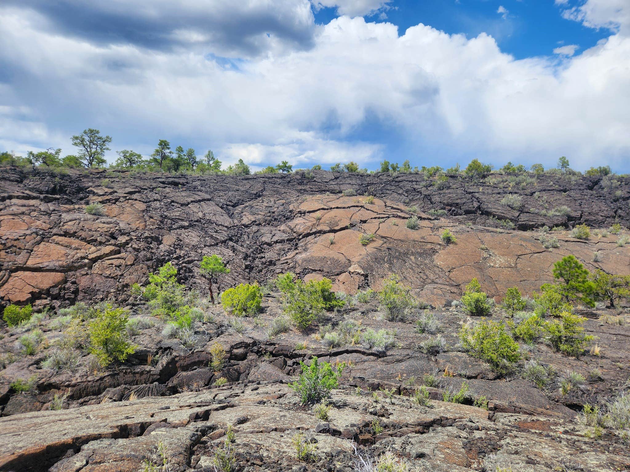 Camper submitted image from El Malpais National Monument, El Morro, Chain of Craters, Big Tubes Area Site - 2