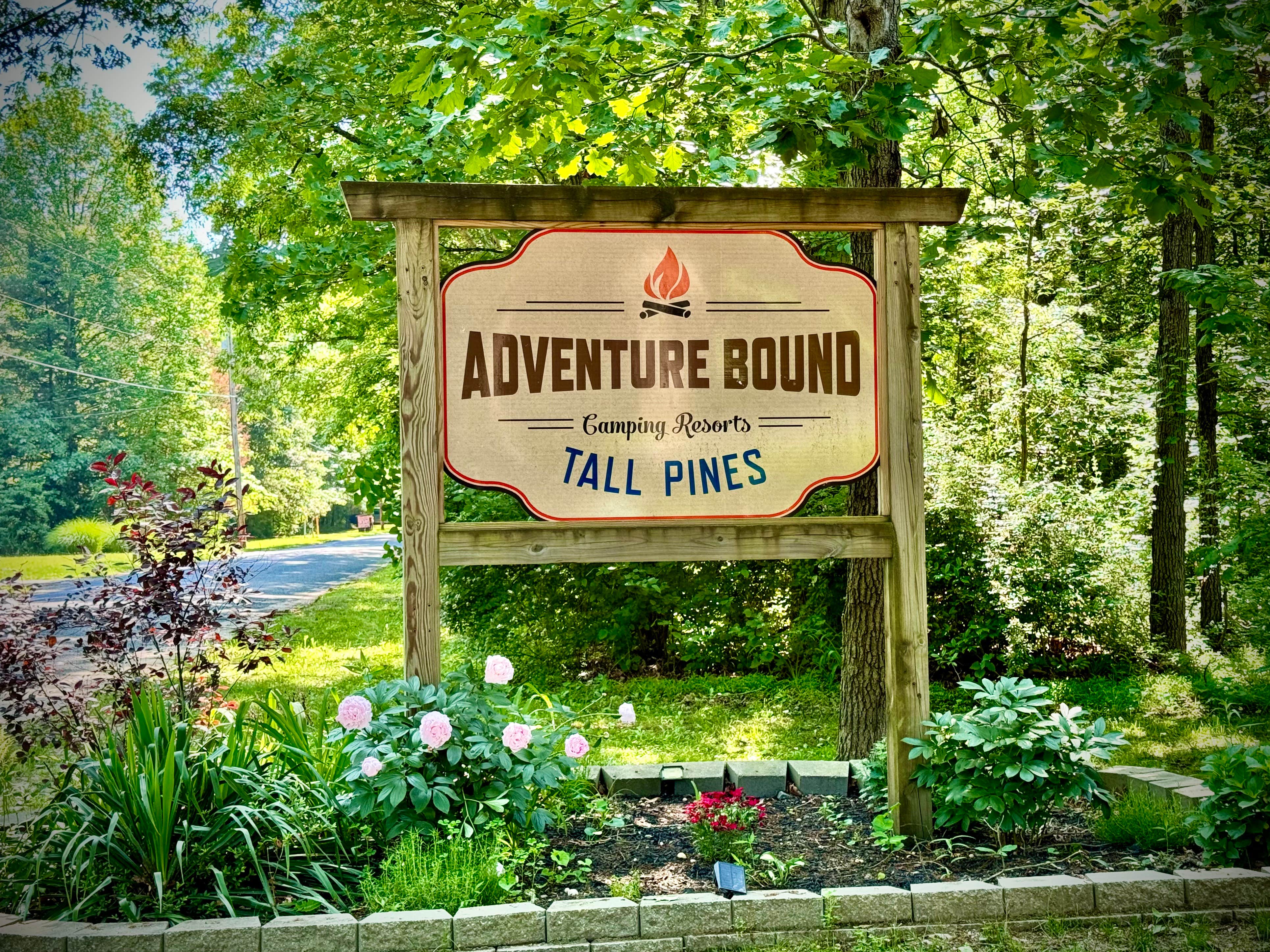 Camper submitted image from Adventure Bound Camping (Tall Pines) - 3