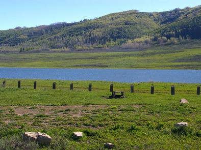 Camper submitted image from Gooseberry Reservoir Campground - 1