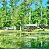 Review photo of Adventure Bound Camping (Tall Pines) by Matt S., May 27, 2024