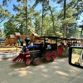 Review photo of Adventure Bound Camping (Tall Pines) by Matt S., May 27, 2024