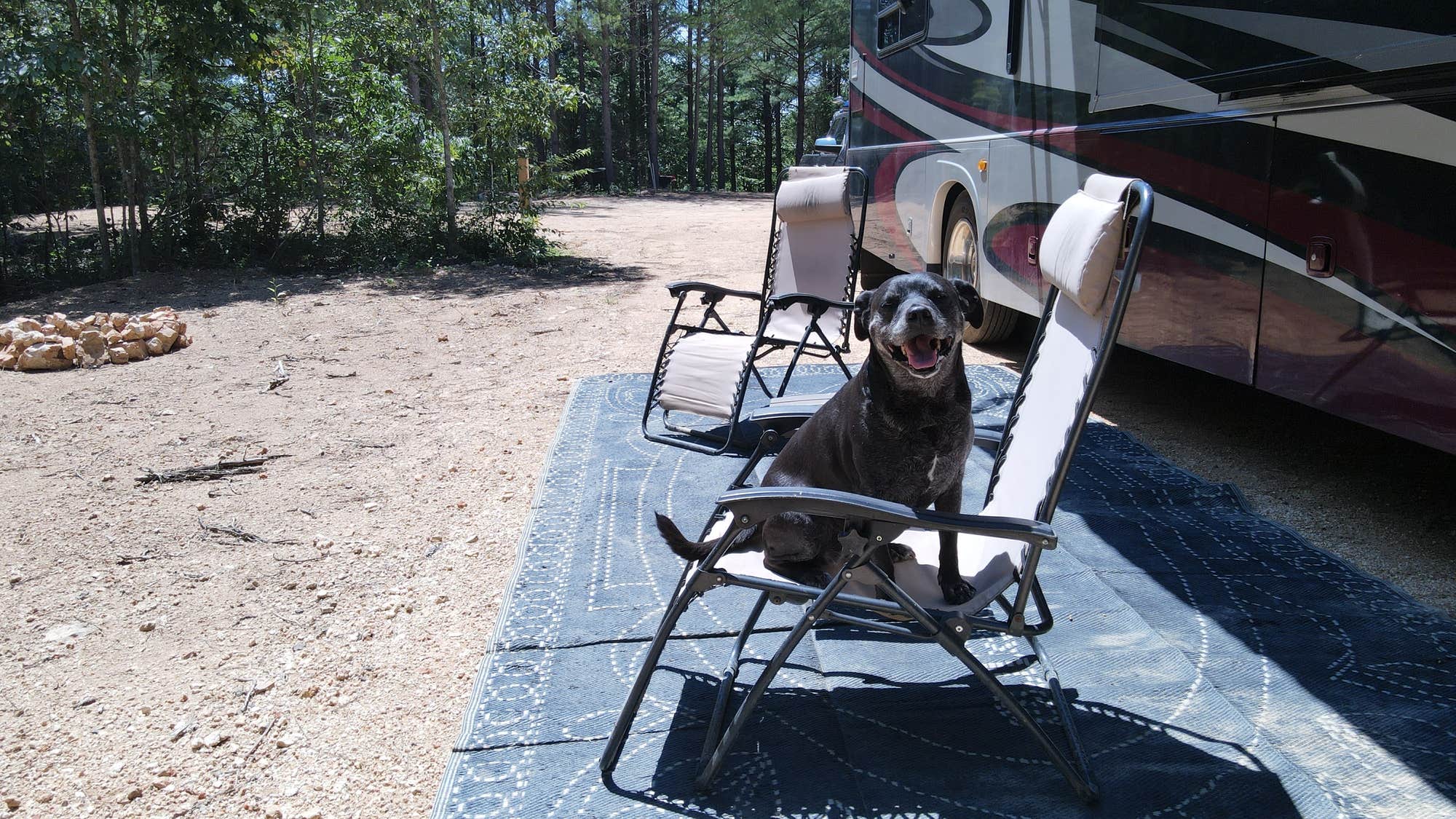 The Dyrt's photo of camping with pets at Harmony Ridge RV Park near Lawrenceburg, TN