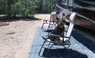The Dyrt's photo of camping with pets at Harmony Ridge RV Park near Lawrenceburg, TN