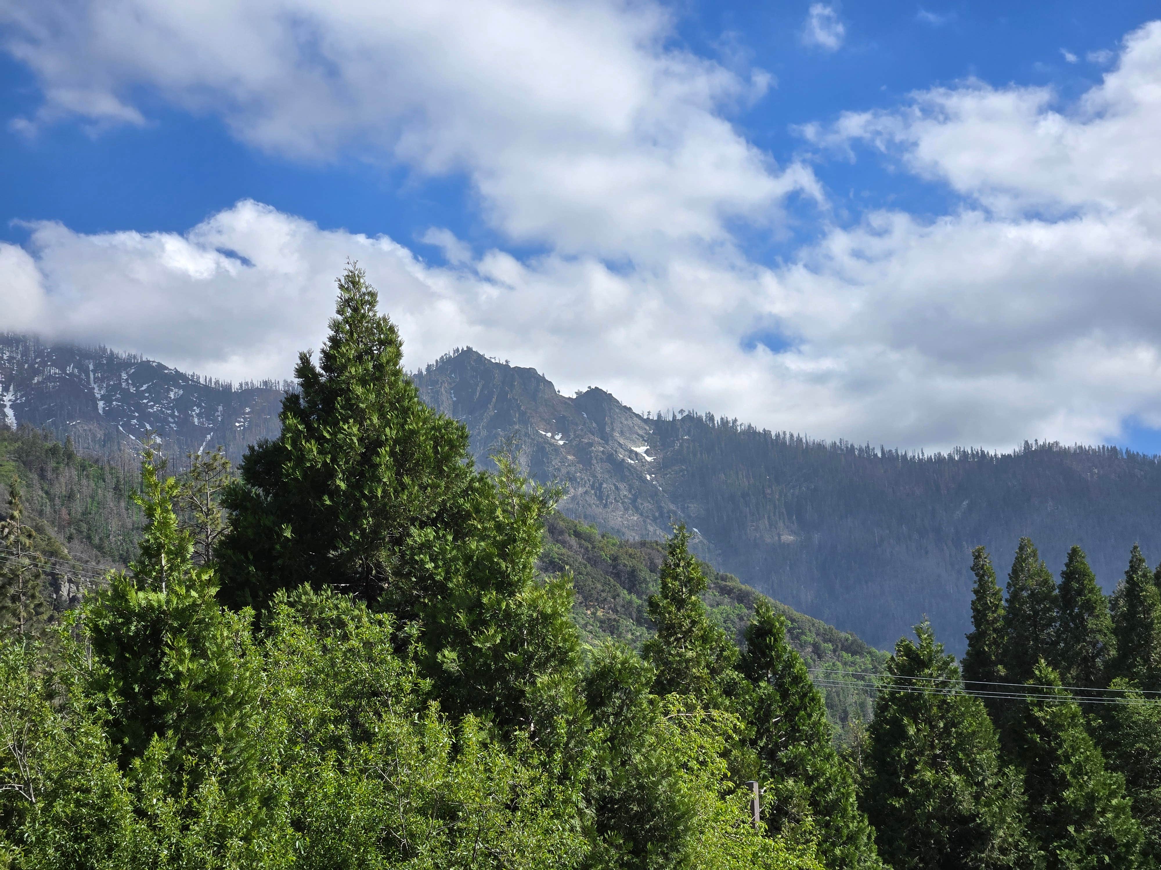 Camper-submitted photo at Nelson Falls RV Park near Sequoia & Kings Canyon National Parks