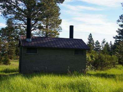 Camper submitted image from Greendale - Ashley National Forest - 4