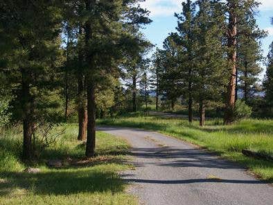 Camper submitted image from Greendale - Ashley National Forest - 2