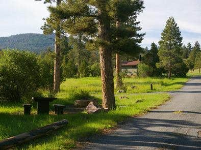 Camper submitted image from Greendale - Ashley National Forest - 1