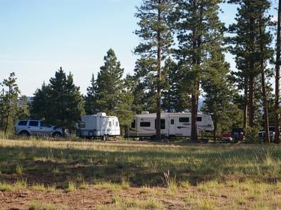 Camper submitted image from Greendale - Ashley National Forest - 5