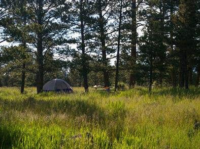 Camper submitted image from Greens Lake - 5