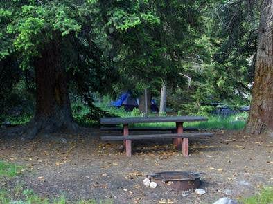 Camper submitted image from Ashley National Forest Hades Campground - 2