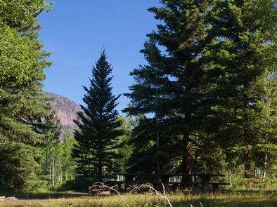 Camper submitted image from Ashley National Forest Hades Campground - 1