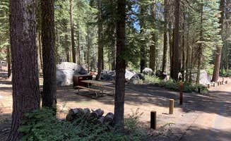 The Dyrt's photo at Crane Flat Campground — Yosemite National Park near Eastman Lake