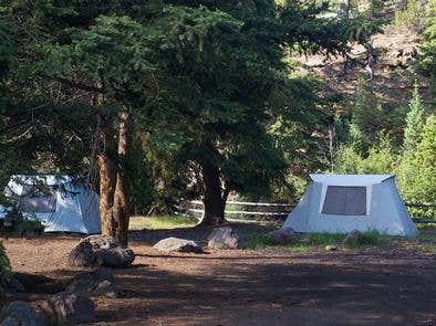 Camper submitted image from Ashley National Forest Hades Campground - 5