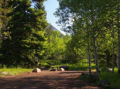 Camper submitted image from Ashley National Forest Hades Campground - 3