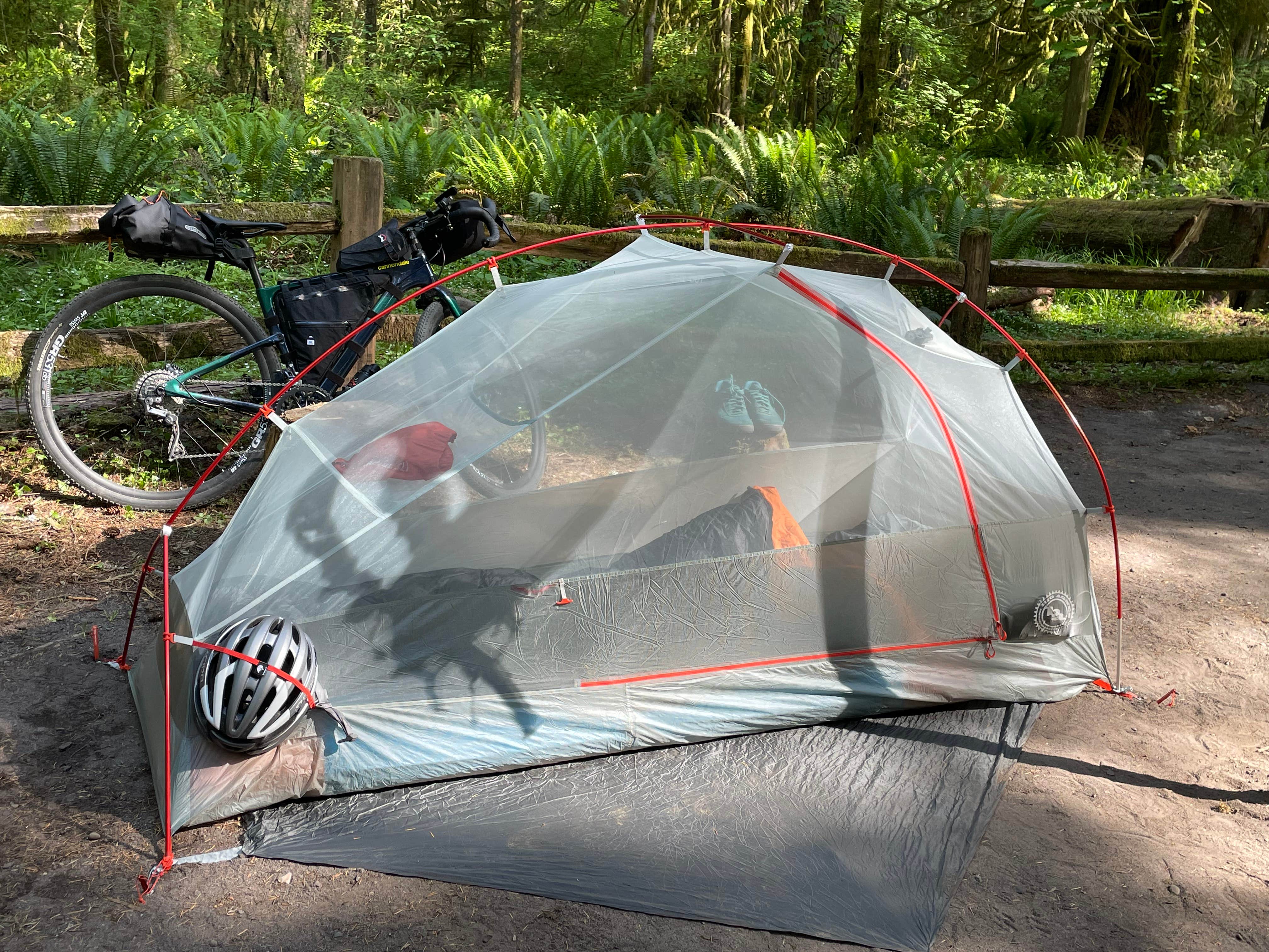 Sheryl H.'s photo at Oxbow Regional Park near Portland, OR