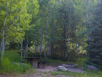 Camper submitted image from Ashley National Forest Iron Mine Campground - 1