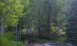 Camping near Miners Gulch: Ashley National Forest Iron Mine Campground, Hanna, Utah