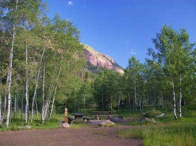 Camper submitted image from Ashley National Forest Iron Mine Campground - 3