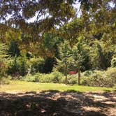 Review photo of Davidsonville Historic State Park Campground by Shelly S., September 14, 2016
