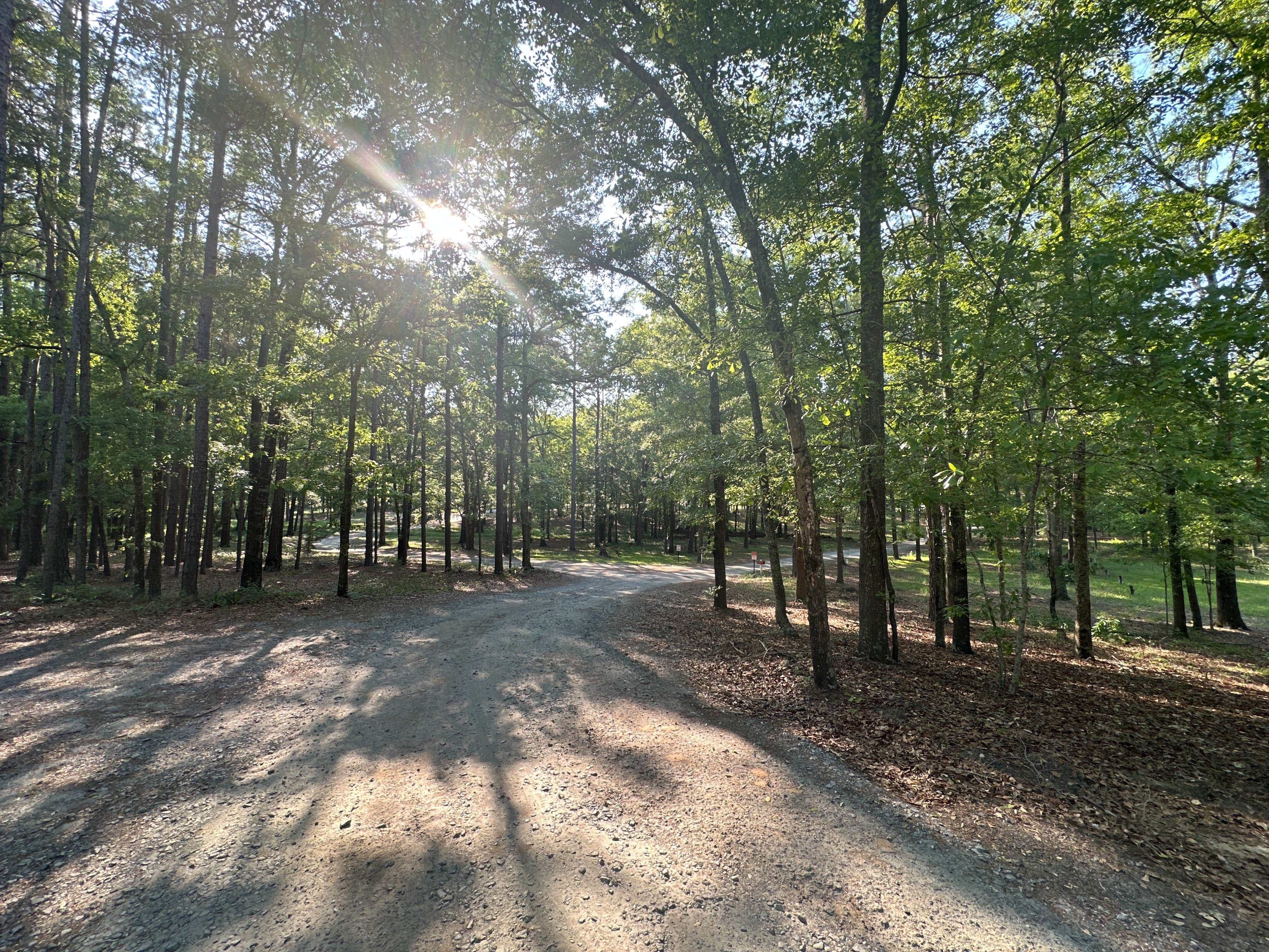 Camper-submitted photo at Jellystone Park™ Cochran near Macon, GA