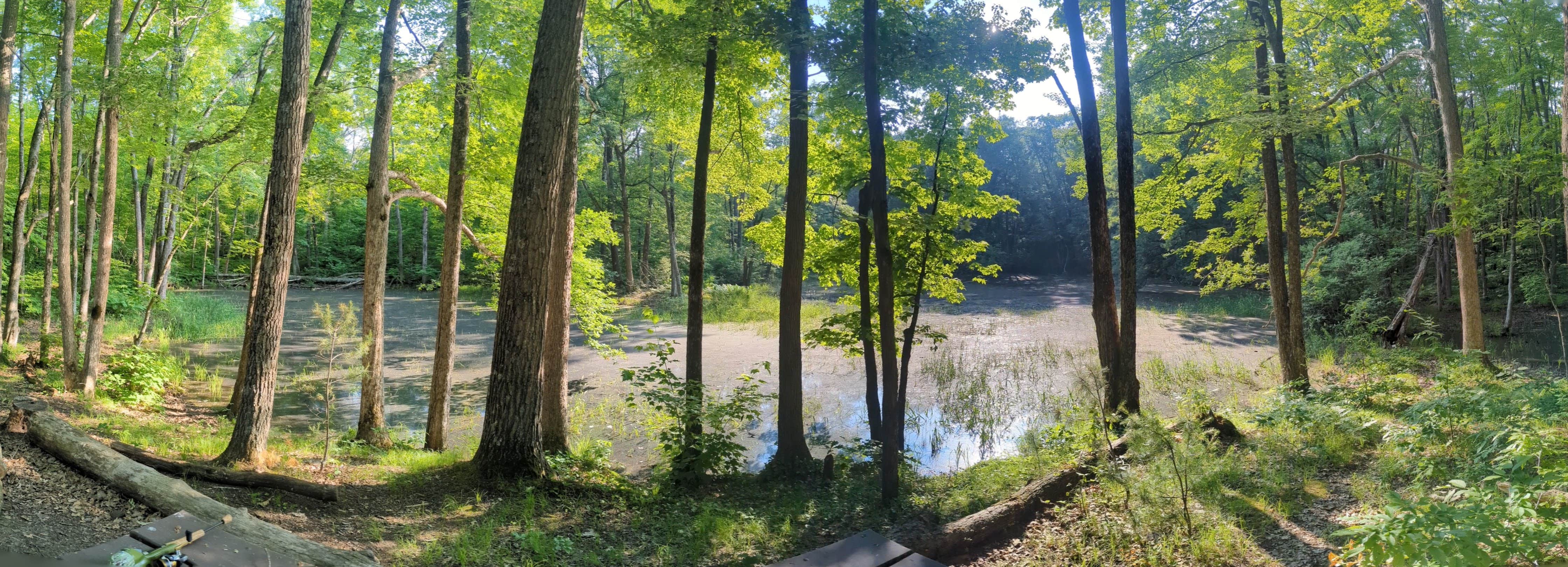 Camper submitted image from Straight Lake State Park Campground - 3