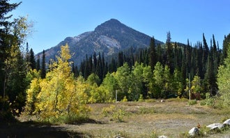 Camping near Lake Blanche Trail - Backcountry Camp: Jordan Pines, Mounthaven, Utah