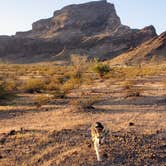 Review photo of Saddle Mountain BLM (Tonopah, AZ) by John , May 29, 2024