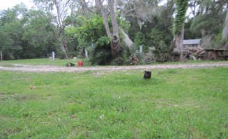 Alexsandra *.'s photo of camping with pets at Alexsandra RV Park near Damon, TX